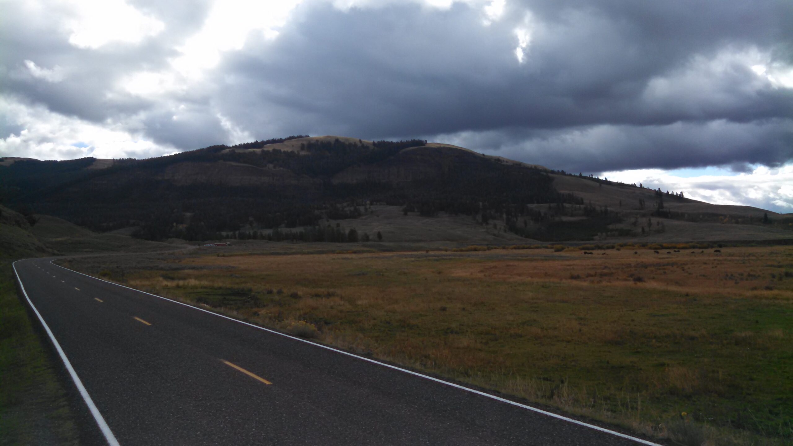 Outside of Cooke City Montana